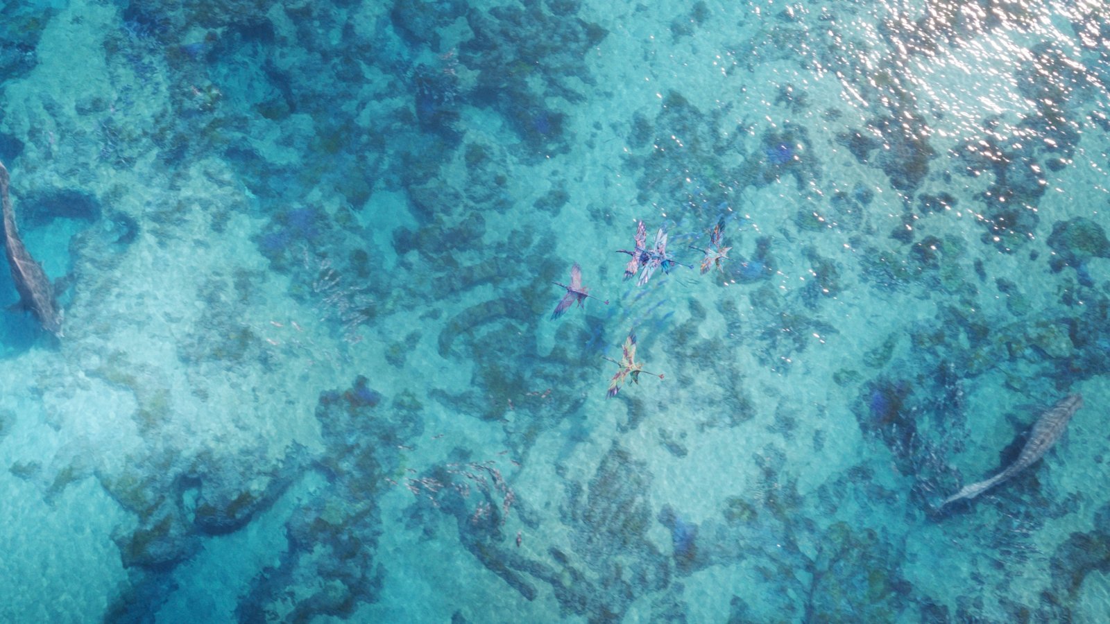 An aerial view of clear blue water